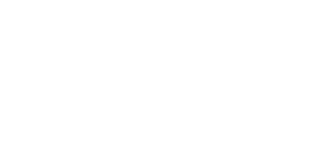 Déjà Vu Experience